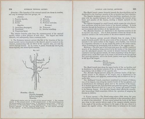 E675 - A System of Human Anatomy - 1857 - 4750-4751