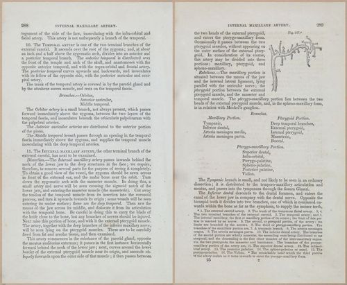 E675 - A System of Human Anatomy - 1857 - 4754-4755