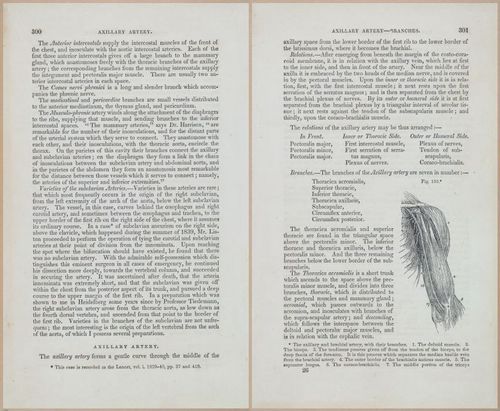 E675 - A System of Human Anatomy - 1857 - 4766-4767