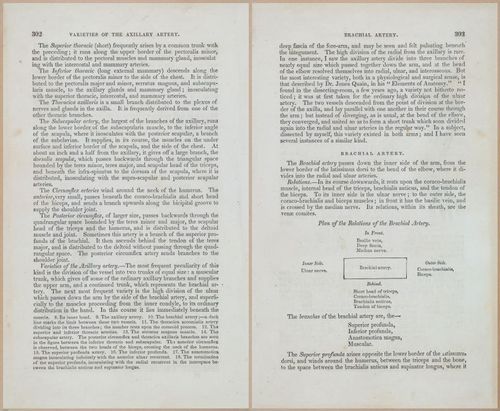 E675 - A System of Human Anatomy - 1857 - 4768-4769