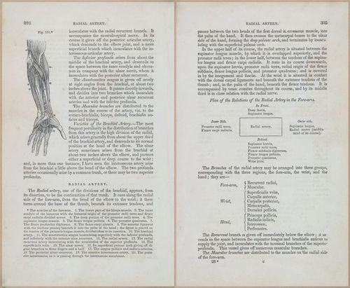 E675 - A System of Human Anatomy - 1857 - 4770-4771