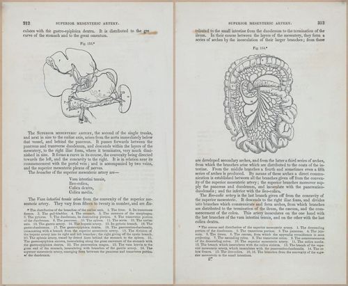 E675 - A System of Human Anatomy - 1857 - 4778-4779