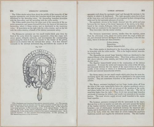 E675 - A System of Human Anatomy - 1857 - 4780-4781