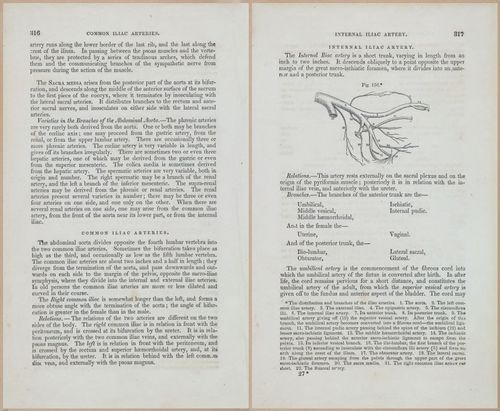 E675 - A System of Human Anatomy - 1857 - 4782-4783