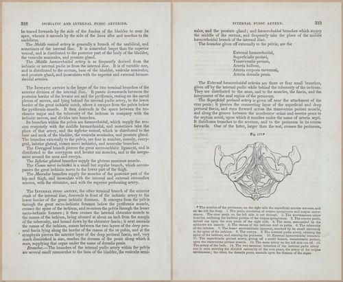 E675 - A System of Human Anatomy - 1857 - 4784-4785
