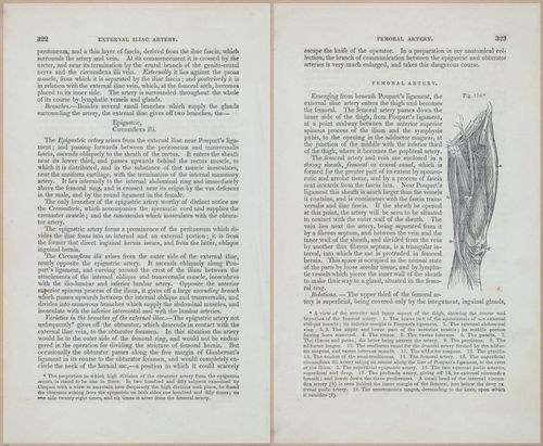 E675 - A System of Human Anatomy - 1857 - 4788-4789