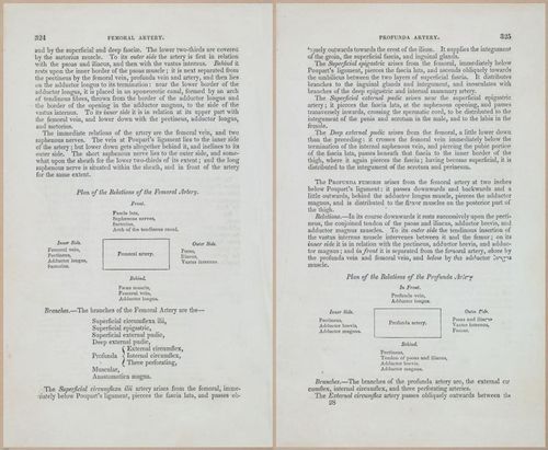 E675 - A System of Human Anatomy - 1857 - 4790-4791
