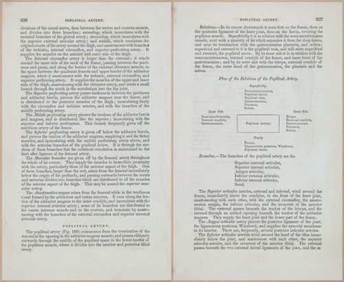 E675 - A System of Human Anatomy - 1857 - 4792-4793