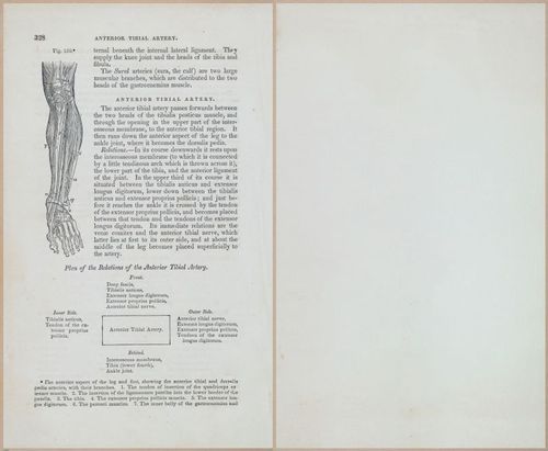 E675 - A System of Human Anatomy - 1857 - 4794