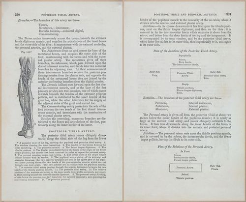 E675 - A System of Human Anatomy - 1857 - 4795-4796