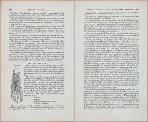 E675 - A System of Human Anatomy - 1857 - 4797-4798