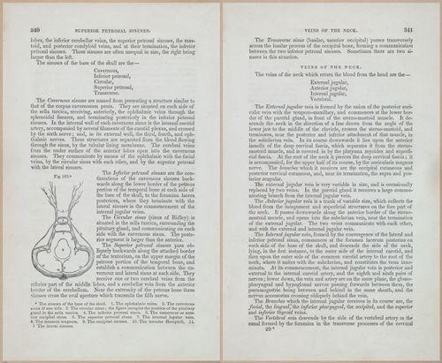 E675 - A System of Human Anatomy - 1857 - 4805-4806