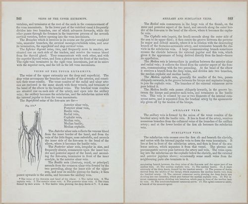 E675 - A System of Human Anatomy - 1857 - 4807-4808