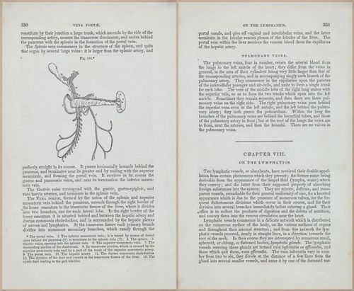 E675 - A System of Human Anatomy - 1857 - 4815-4816
