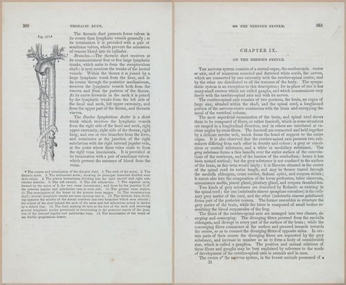 E675 - A System of Human Anatomy - 1857 - 4825-4826