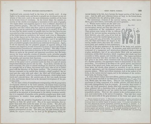 E675 - A System of Human Anatomy - 1857 - 4827-4828