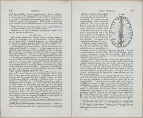 E675 - A System of Human Anatomy - 1857 - 4837-4838