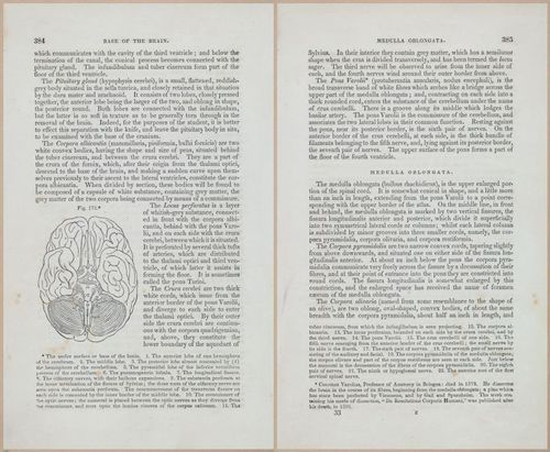 E675 - A System of Human Anatomy - 1857 - 4848-4849