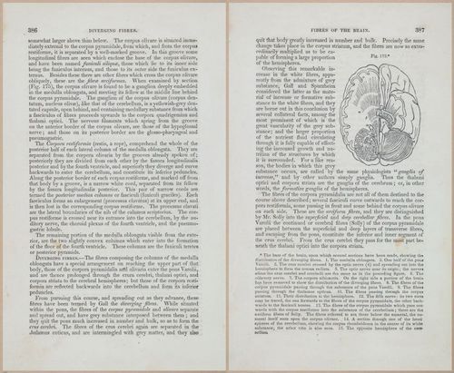 E675 - A System of Human Anatomy - 1857 - 4850-4851