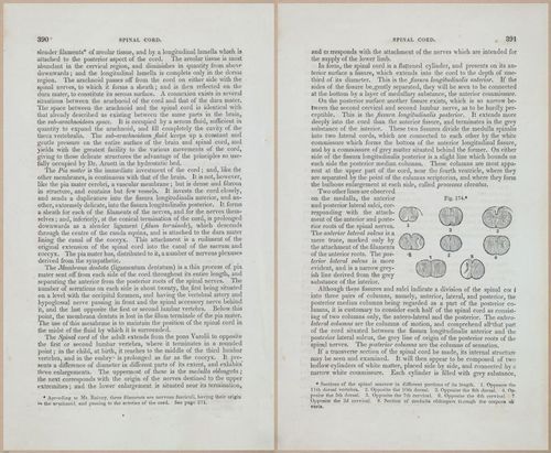 E675 - A System of Human Anatomy - 1857 - 4854-4855