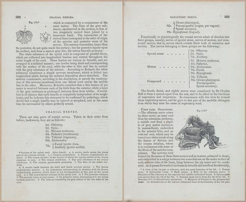 E675 - A System of Human Anatomy - 1857 - 4856-4857