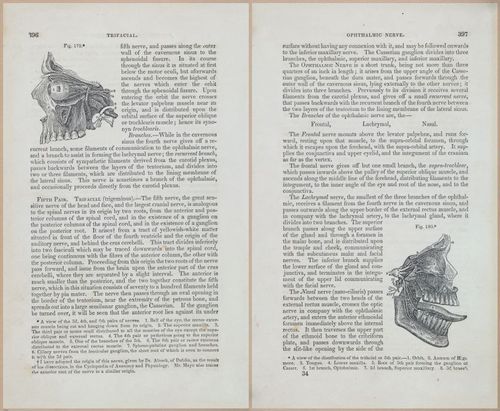 E675 - A System of Human Anatomy - 1857 - 4860-4861