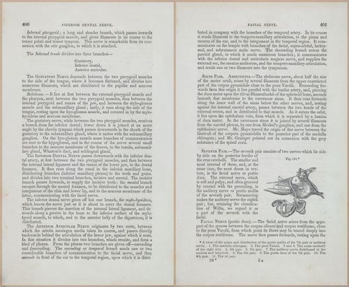 E675 - A System of Human Anatomy - 1857 - 4864-4866