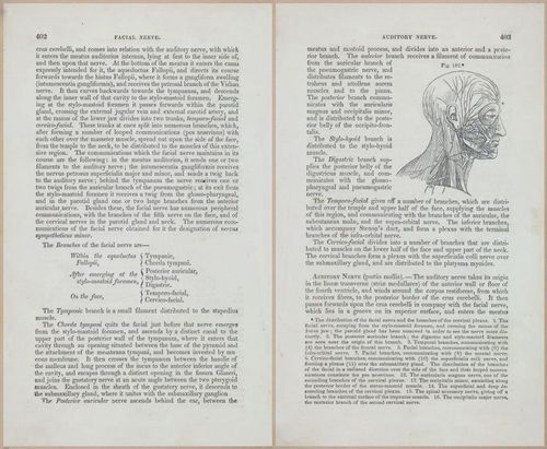 E675 - A System of Human Anatomy - 1857 - 4867-4868