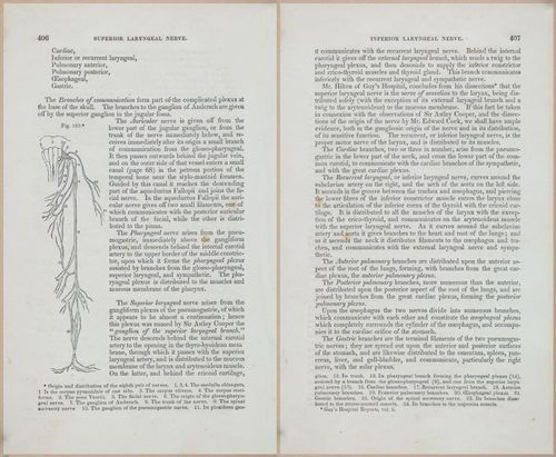 E675 - A System of Human Anatomy - 1857 - 4871-4872