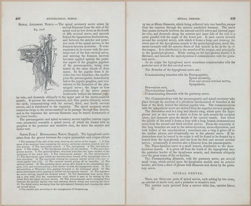E675 - A System of Human Anatomy - 1857 - 4873-4874