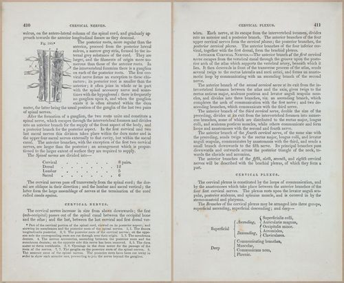 E675 - A System of Human Anatomy - 1857 - 4875-4876