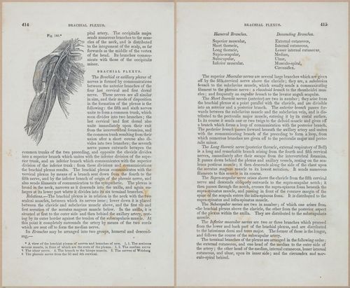 E675 - A System of Human Anatomy - 1857 - 4879-4880