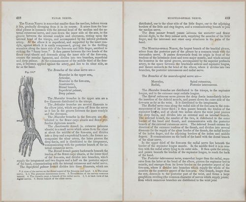 E675 - A System of Human Anatomy - 1857 - 4883-4884