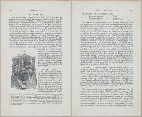 E675 - A System of Human Anatomy - 1857 - 4887-4888