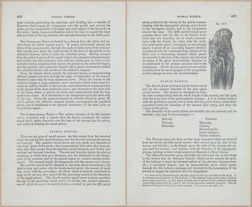 E675 - A System of Human Anatomy - 1857 - 4892-4893