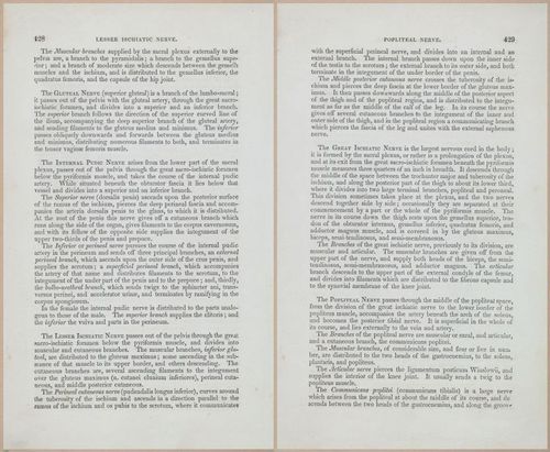 E675 - A System of Human Anatomy - 1857 - 4894-4895
