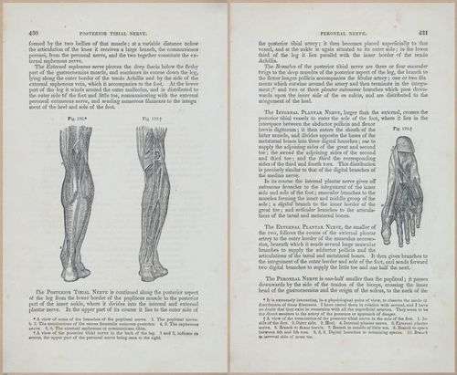 E675 - A System of Human Anatomy - 1857 - 4896-4897