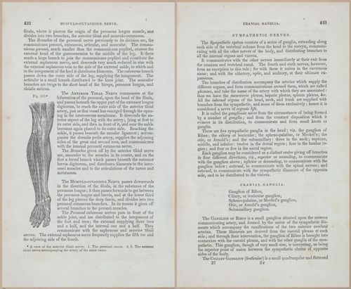 E675 - A System of Human Anatomy - 1857 - 4898-4899