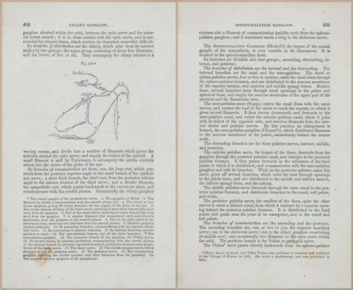 E675 - A System of Human Anatomy - 1857 - 4900-4901