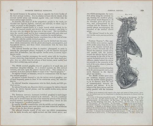 E675 - A System of Human Anatomy - 1857 - 4904-4905