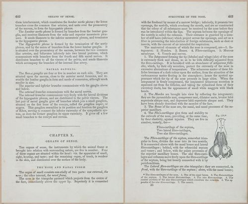 E675 - A System of Human Anatomy - 1857 - 4908-4909