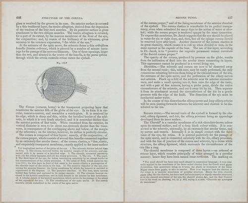 E675 - A System of Human Anatomy - 1857 - 4912-4913