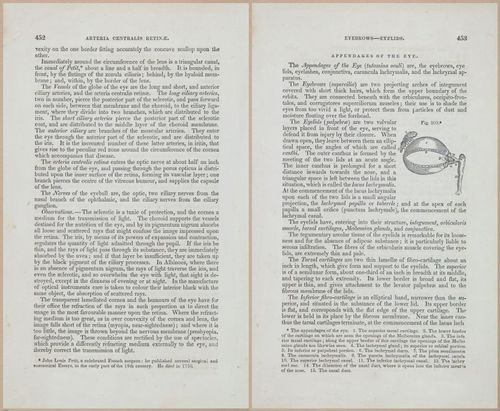 E675 - A System of Human Anatomy - 1857 - 4918-4919
