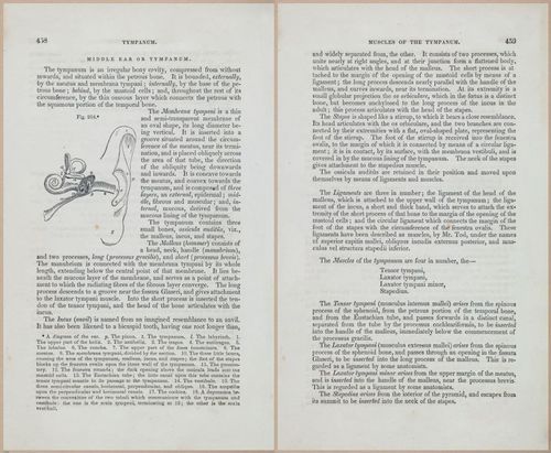 E675 - A System of Human Anatomy - 1857 - 4924-4925