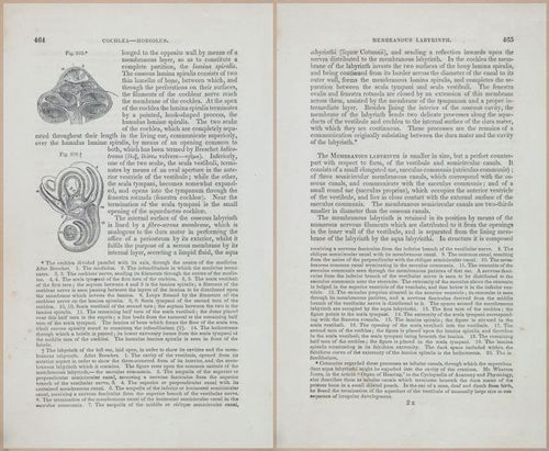 E675 - A System of Human Anatomy - 1857 - 4930-4931