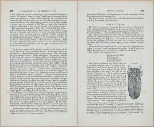 E675 - A System of Human Anatomy - 1857 - 4932-4933