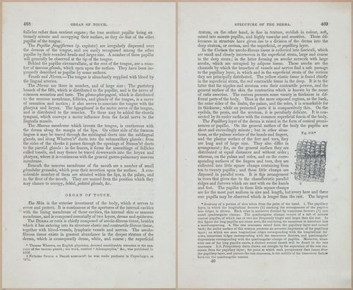 E675 - A System of Human Anatomy - 1857 - 4934-4935