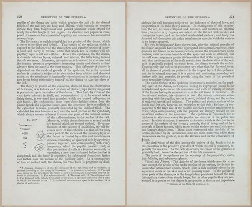 E675 - A System of Human Anatomy - 1857 - 4936-4937