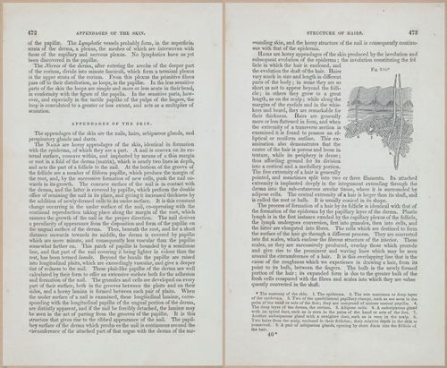 E675 - A System of Human Anatomy - 1857 - 4938-4939