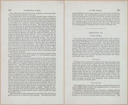 E675 - A System of Human Anatomy - 1857 - 4940-4941